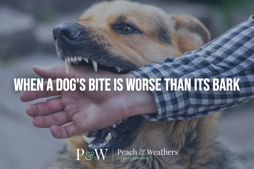 When A Dog's Bite is Worse Than Its Bark